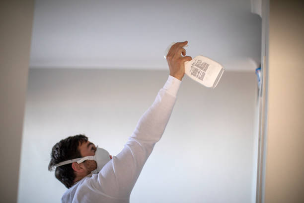 Best Emergency Mold Removal  in East Tawas, MI