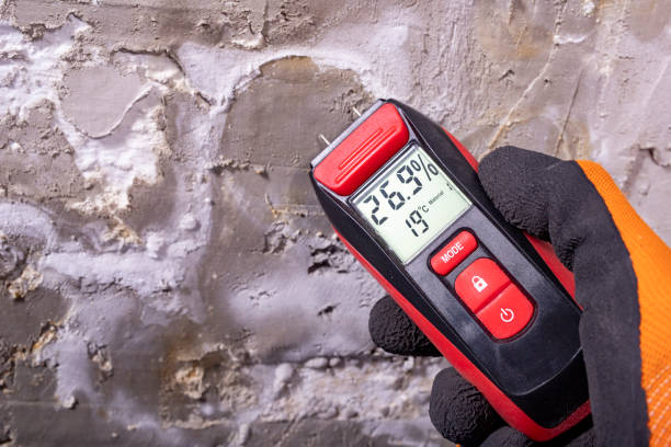 East Tawas, MI Mold Removal Company